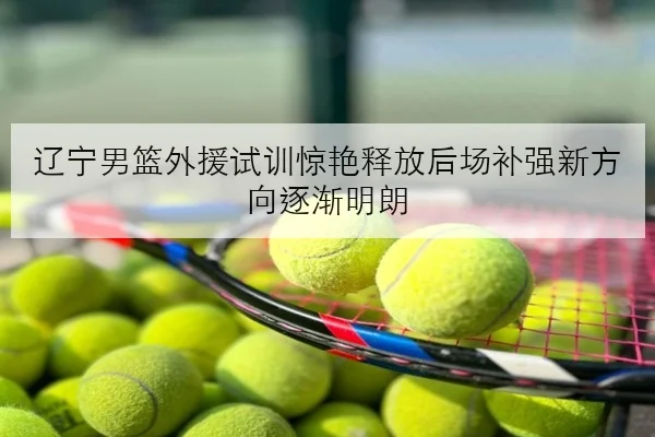 辽宁男篮外援试训惊艳释放后场补强新方向逐渐明朗