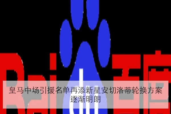 皇马中场引援名单再添新星安切洛蒂轮换方案逐渐明朗